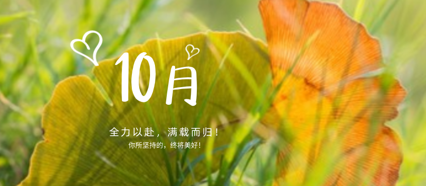 蓄力下半場(chǎng)|“十不我待，吾力全開(kāi)”！網(wǎng)站設(shè)計(jì)、網(wǎng)站優(yōu)化都快做起來(lái)！